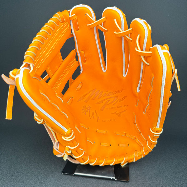 ミズプロ ミズノプロ 硬式グローブ 岸本マイスター監修特別モデル 右
