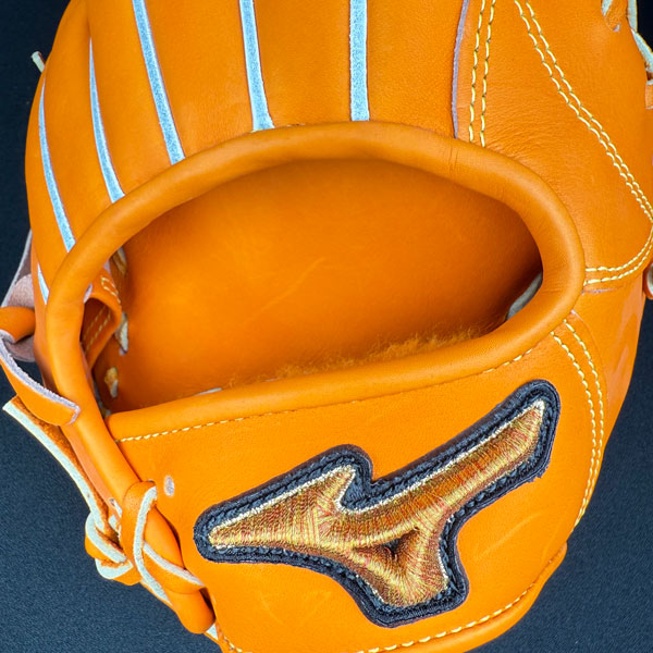 ミズプロ ミズノプロ 硬式グローブ 岸本マイスター監修特別モデル 右