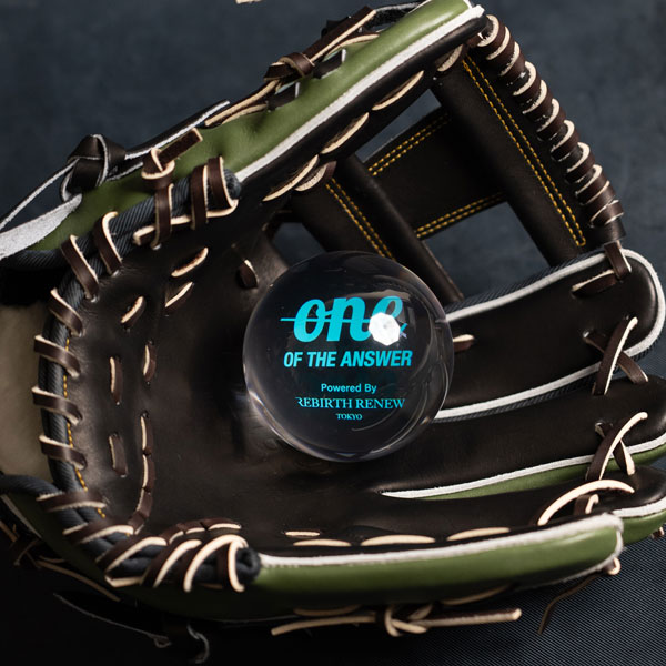ONE OF THE ANSWER グラブポケット成型ボール GLOVE MATE 直径約8cm 重