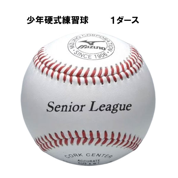ミズノ 野球 リトルシニア 1ダース 練習球 少年硬式 硬式野球 ボール 少年野球 1BJBL71300